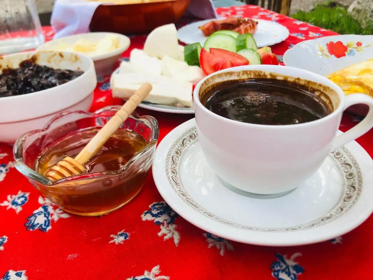 Guest House Hyrmet Demushi Valbone Bed & Breakfast