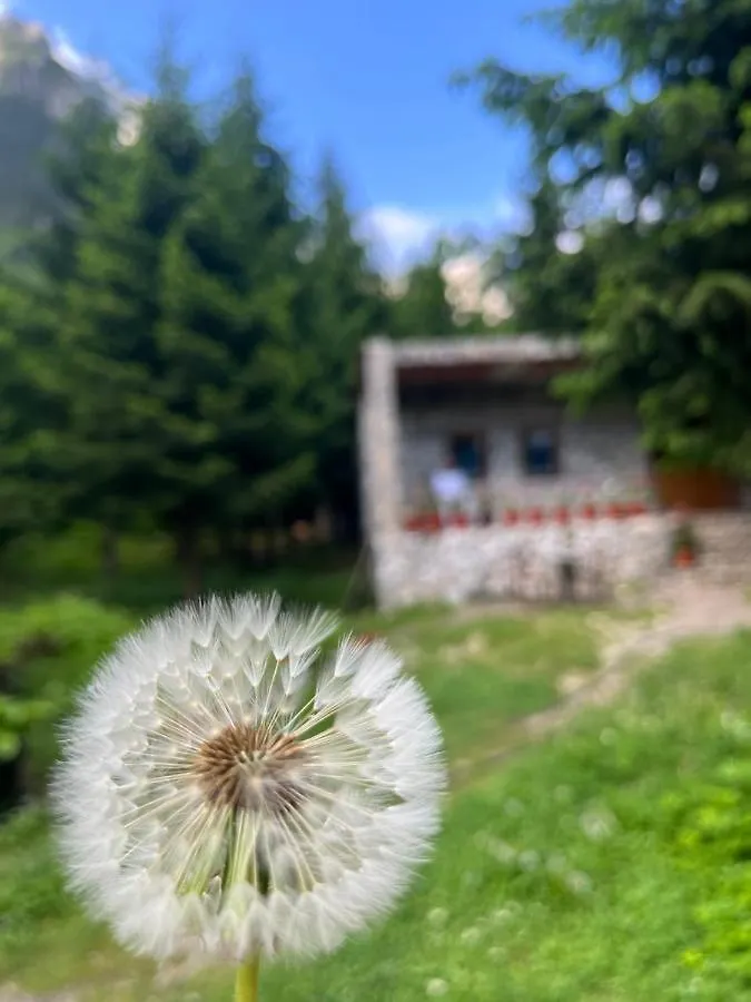 Guest House Hyrmet Demushi Valbone Bed & Breakfast