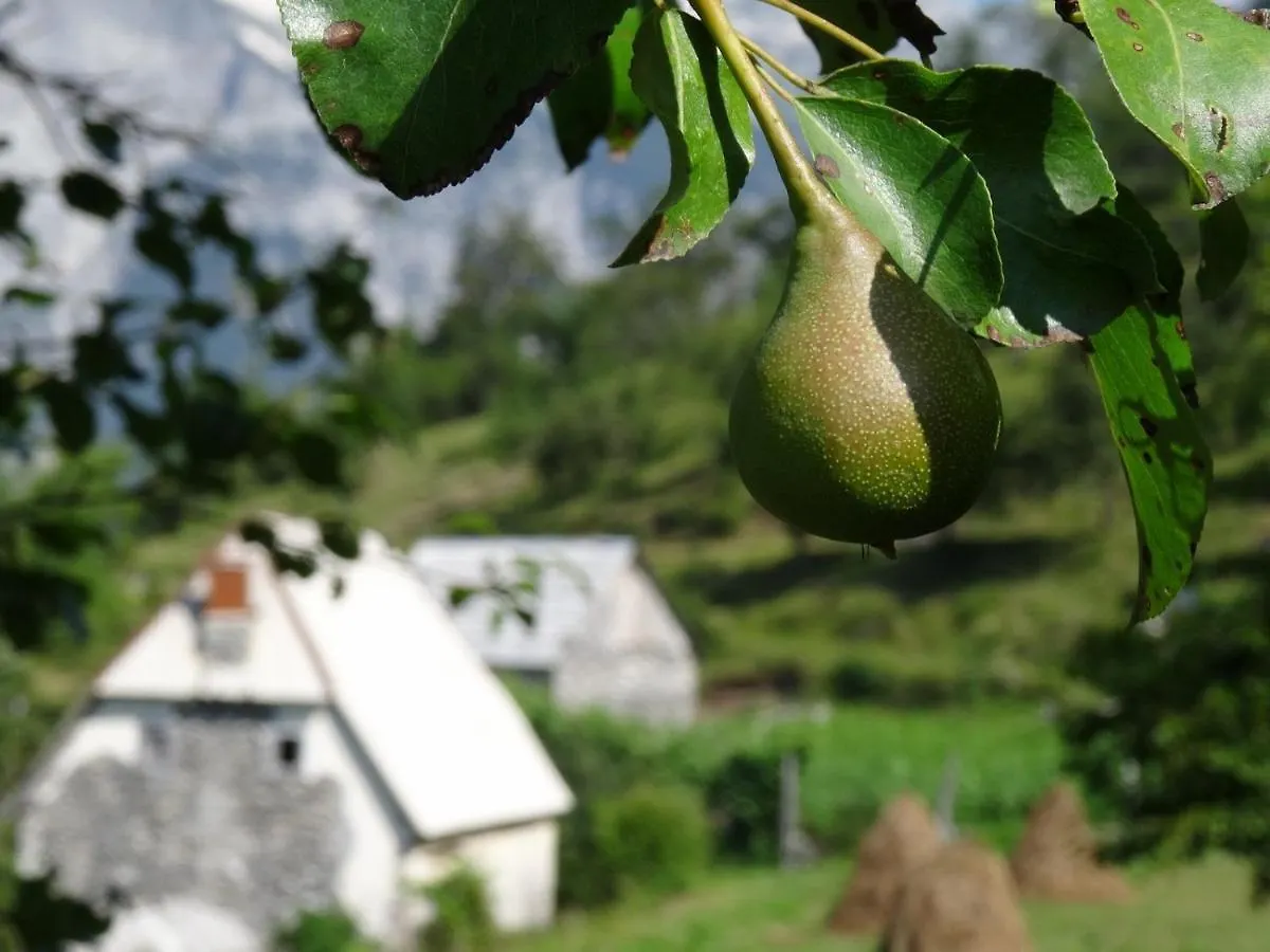 Guest House Hyrmet Demushi Valbone