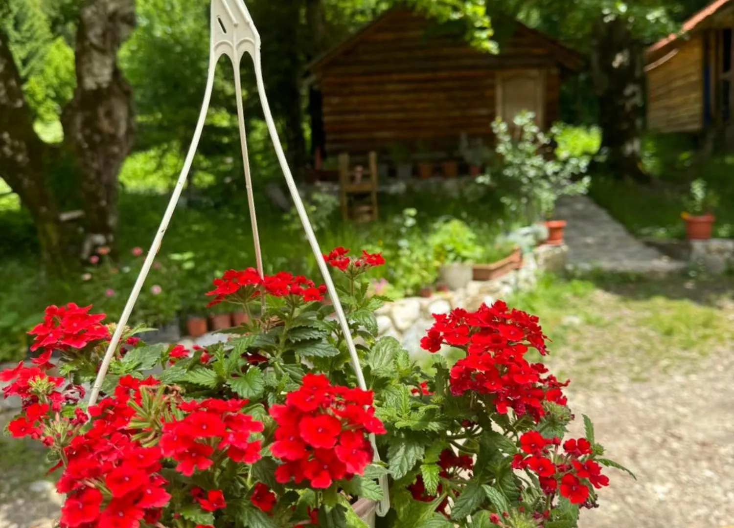 Frühstückspension Guest House Hyrmet Demushi Valbone Albanien