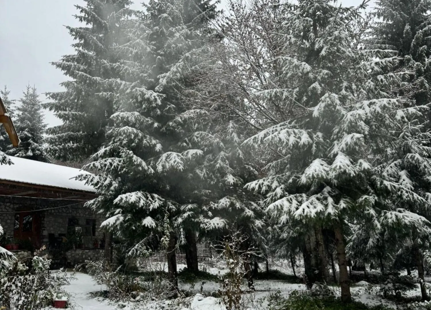 Bed & Breakfast Guest House Hyrmet Demushi Valbone