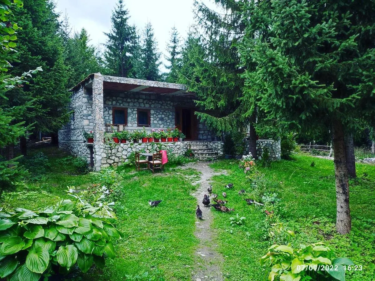 Guest house Hyrmet Demushi Valbone Bed & Breakfast