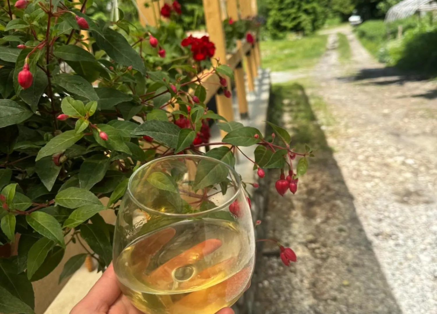 住宿加早餐酒店 Guest House Hyrmet Demushi 瓦勒博内