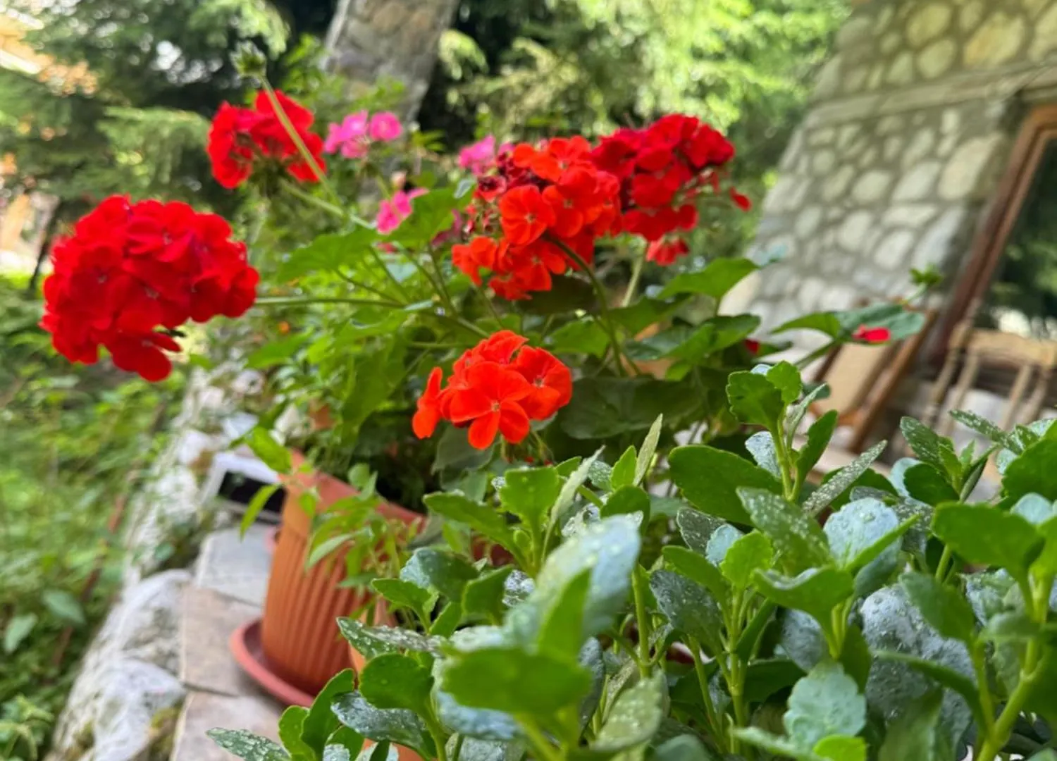 Bed & Breakfast Guest house Hyrmet Demushi Valbone