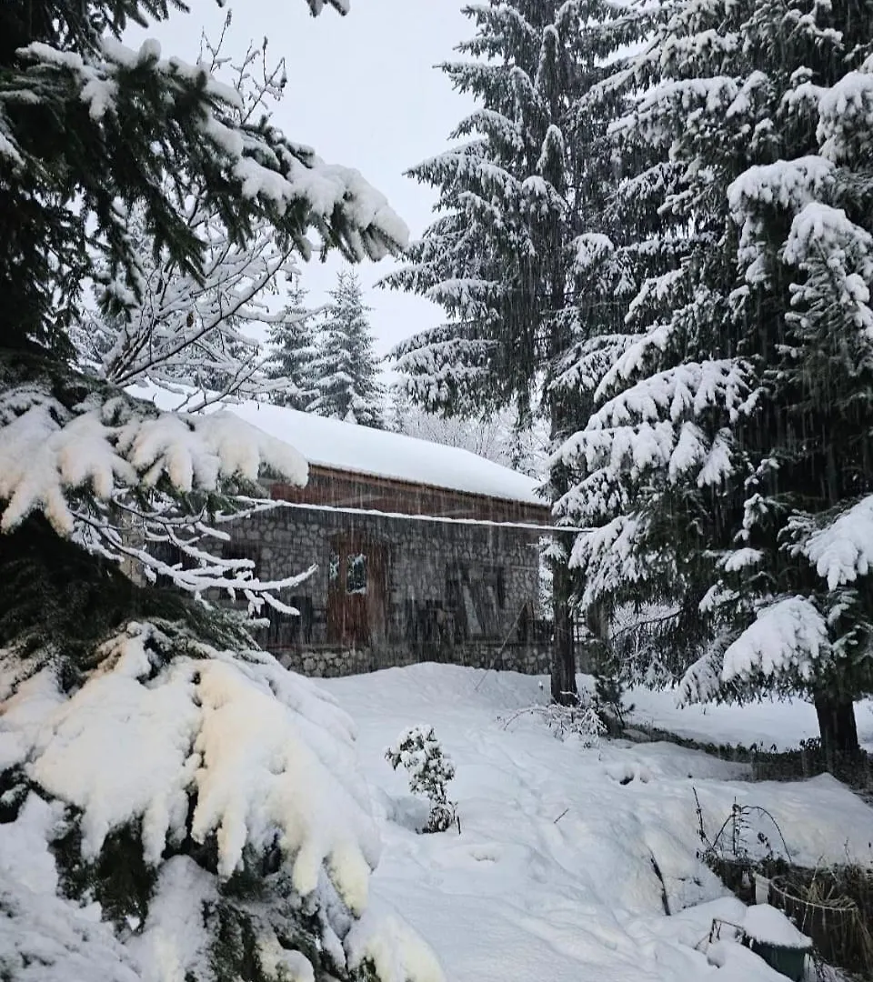Bed & Breakfast Guest house Hyrmet Demushi Valbone